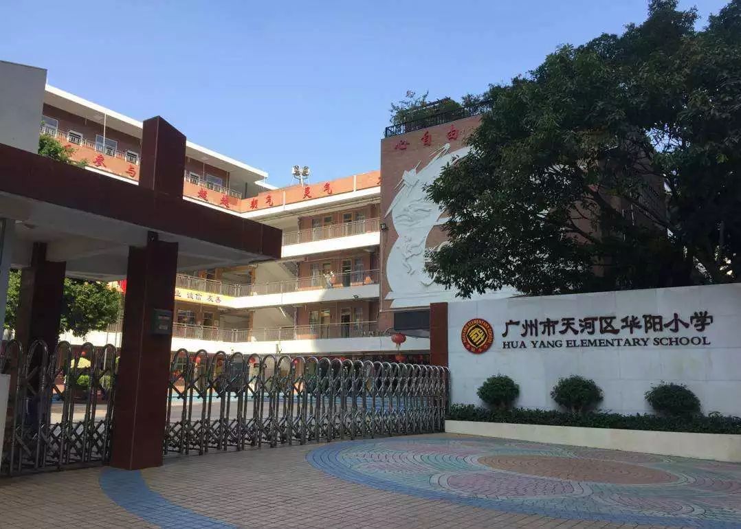 华阳小学